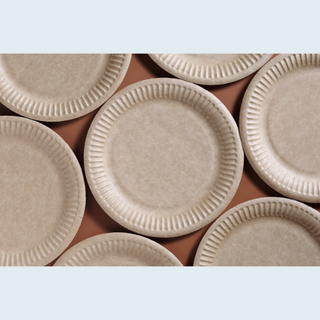 Disposable Plates, Bowls & Wooden Dishes NZ | Insinc