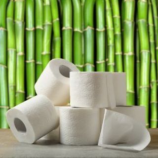 Why Should I Choose Bamboo Toilet Paper? Your Guide to Eco-Friendly, Sustainable Living in New Zealand